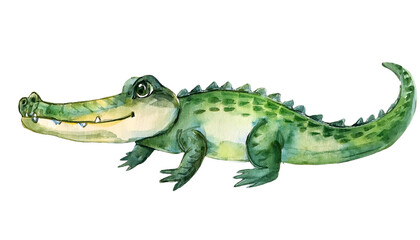 Fototapeta premium Adorable Watercolor Crocodile Illustration Cute Reptile Cartoon Animal Wildlife Art Jungle Animal