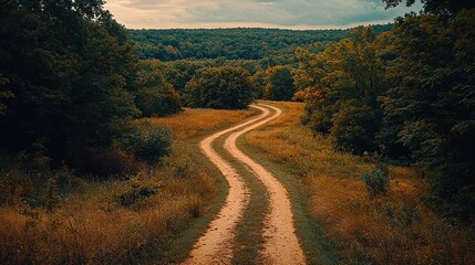 Obraz premium Serene Dirt Road Winding Through Lush Green Forest Landscape Under Dramatic Sky