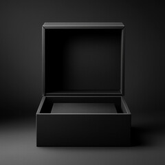 Opened luxury black cardboard box