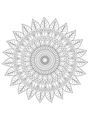 Flower coloring pages for kids