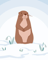 Vector illustration of a cartoon groundhog crawled out of his hole surrounded by snow and snowdrops. Groundhog against a winter landscape. Rodent illustration for children's books, covers, calendars