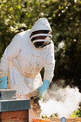 Imker mit Bienen am Bienenstock