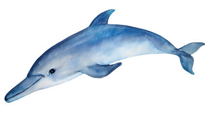 Obraz premium Watercolor Dolphin Painting Ocean Wildlife Marine Mammal Aquatic Animal Art