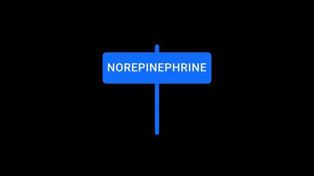 Norepinephrine Signboard Animation