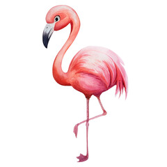 Obraz premium Pink Flamingo Watercolor Painting Tropical Bird Illustration Exotic Wildlife Art