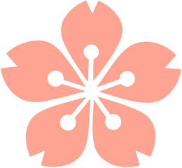 Cherry blossoms Flowers