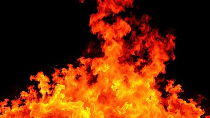 Obraz premium Fiery flames dancing against a clean white backdrop, fire, fireball, intense