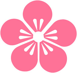 Cherry blossoms Flowers