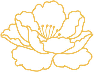 Chinese Peony flower Line Art
