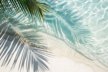 Calm tropical waters with palm shadows.