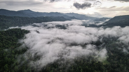 The aerial view of the Sinharaja Reserve in Sri Lanka