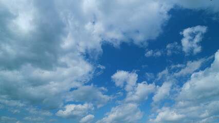 Fototapeta premium Cumulus Cloudscape. Beautiful Movement Of Puffy Fluffy White Clouds Fly Across Clear Blue Sky.