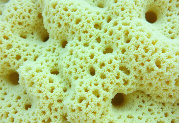 Macro Of Ocean Foam Texture And Bubbles