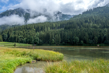 View of forest, lake and mountains in Austria