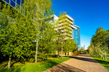 A green lawn near office buildings in the city center.