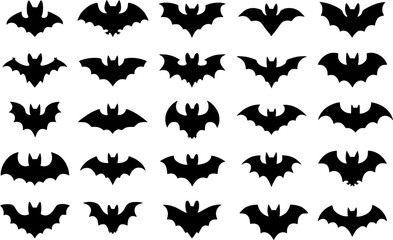 Dark Bat Shadow in the Night Sky