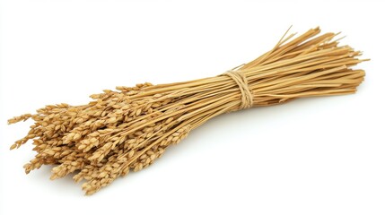 Neatly Arranged Dried Paddy Stalks on Farm Surface