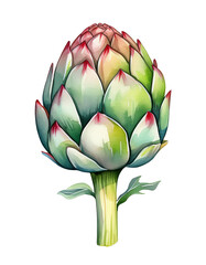 Fototapeta premium Watercolor Artichoke Botanical Illustration Green Food Plant
