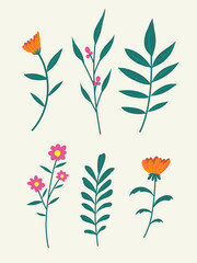Hand drawn simple colorful floral, leaf ad flower shape
