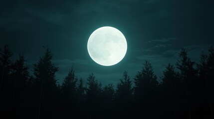 Glowing Full Moon Over Silhouette of Dark Forest Trees at Night Sky