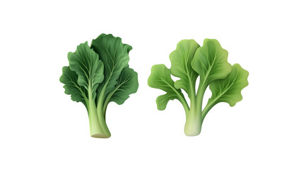 Fototapeta premium Chinese Broccoli with smooth, creamy flesh, a realistic, textured pit, showing fresh ripeness and health appeal, isolated on a white background