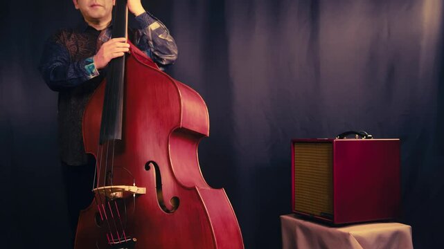 ウッドベース, コントラバス,演奏,男性
Wood bass, Contrabass,pizzicato, Playing