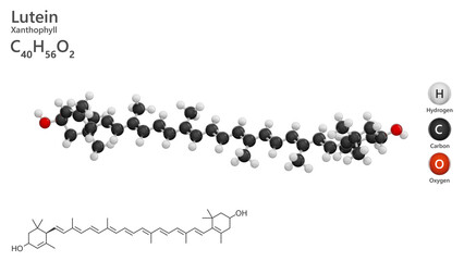 Molecule: Lutein. Carotenoid. Molecular structure. Formula: C40H56O2. Chemical model: Ball and stick. White background. 3D illustration.