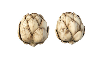 Obraz premium Artichoke with smooth, creamy flesh, a realistic, textured pit, showing fresh ripeness and health appeal, isolated on a white background