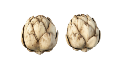 Artichoke with smooth, creamy flesh, a realistic, textured pit, showing fresh ripeness and health appeal, isolated on a white background