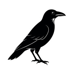 Black Crow silhouettes vector illustration on white background