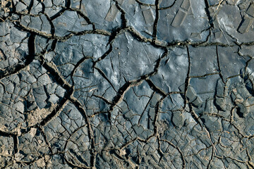 A cracked and broken surface, possibly a rock or a piece of concrete