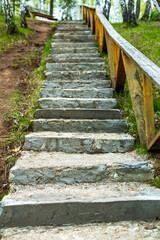 A set of concrete steps leading up to a wooden fence