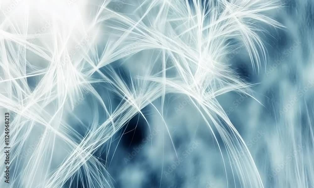 Poster an exploration of soft fibers intertwining against a blue backdrop, showcasing their delicate struct