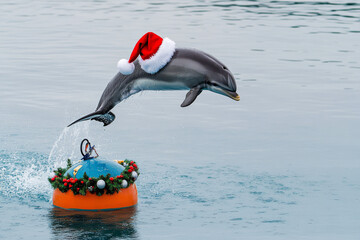 A holiday-themed picture of a dolphin dressed in a Santa cape and hat, jumping out of the water near a decorated buoy, ideal for unique seasonal greetings.