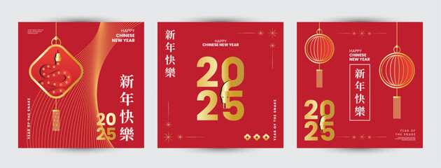 Set of 2025 Chinese new year modern square template design, year of the snake for poster, greeting card, banner with modern geometric style snakes on colourful, gold, red background. Chinese zodiac