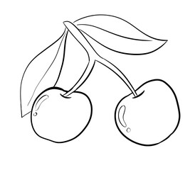 cherry digital illustration drawing isolated