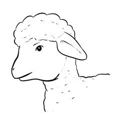 lamb head digital drawing illustration isolated