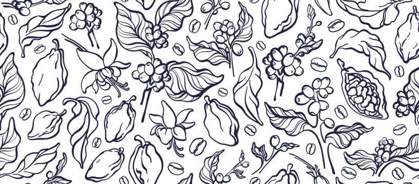 Coffee, cocoa seamless pattern. Organic chocolate