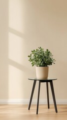 Fototapeta premium Modern Minimalist Living Space with Plant Decor