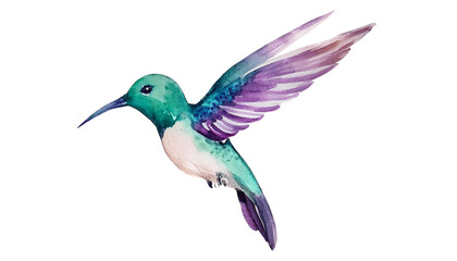 Fototapeta premium Vibrant Watercolor Hummingbird Painting Bird Art Nature Print