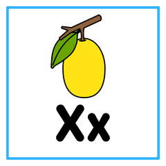 flat ximenia alfabet x illustration © Rahmatullah