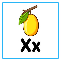 fresh ximenia alfabet x illustration © Rahmatullah