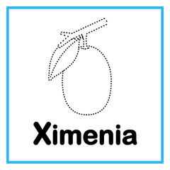 tracing ximenia alfabet illustration © Rahmatullah