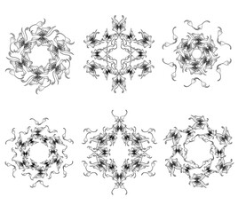 set black and white floral elements with butterflies