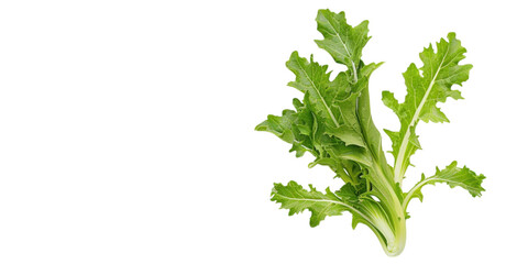 Vibrant Green Leafy Vegetable: Fresh and Healthy