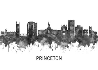 Fototapeta premium Princeton New Jersey Skyline BW, abstract painting travel illustration urban art modern downtown landmarks skyscrapers colorful artwork architecture