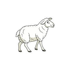 sheep vector art and illustration