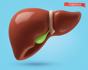 Liver, medical illustration 3d render vector icon