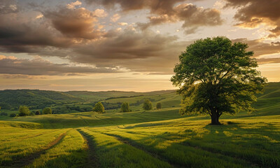Obraz premium Serene Landscape with Rolling Hills and a Lone Tree at Sunset
