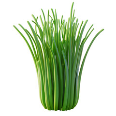 Glossy Green Chive Plant with Rounded Edges in Icon Style